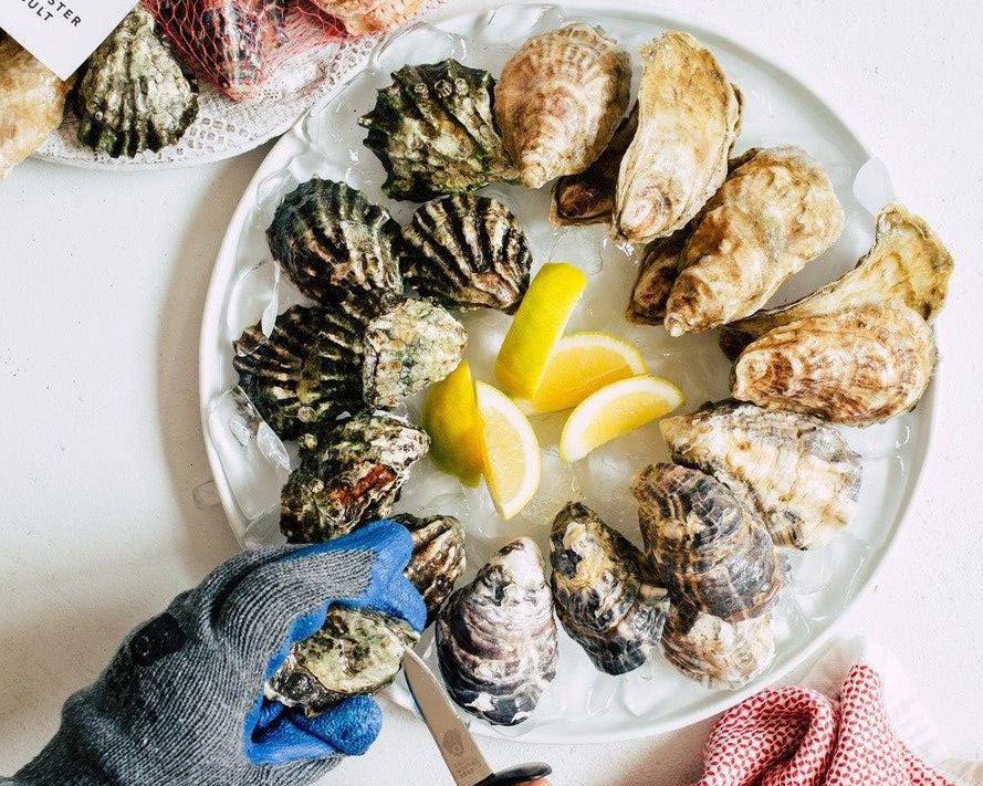 Oysters: A Beginner's Guide
