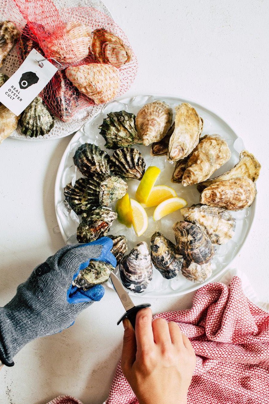 Oysters: A Beginner's Guide