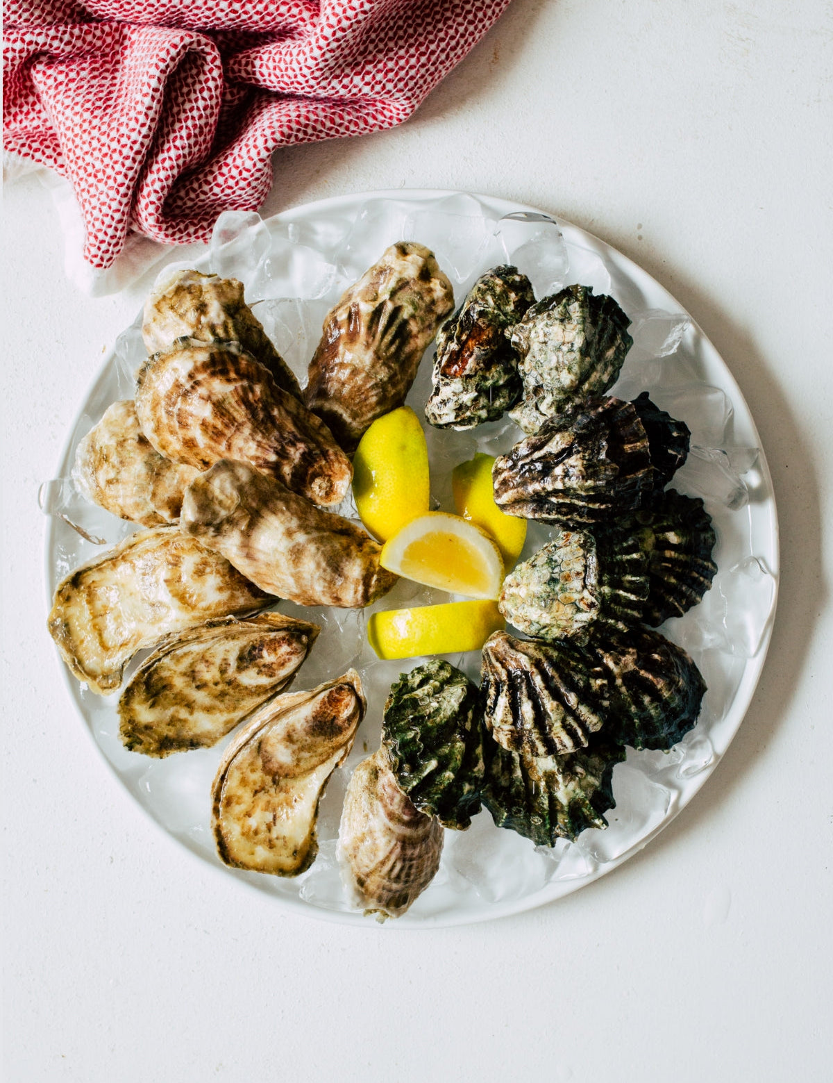 Membership Duo (2 varieties)