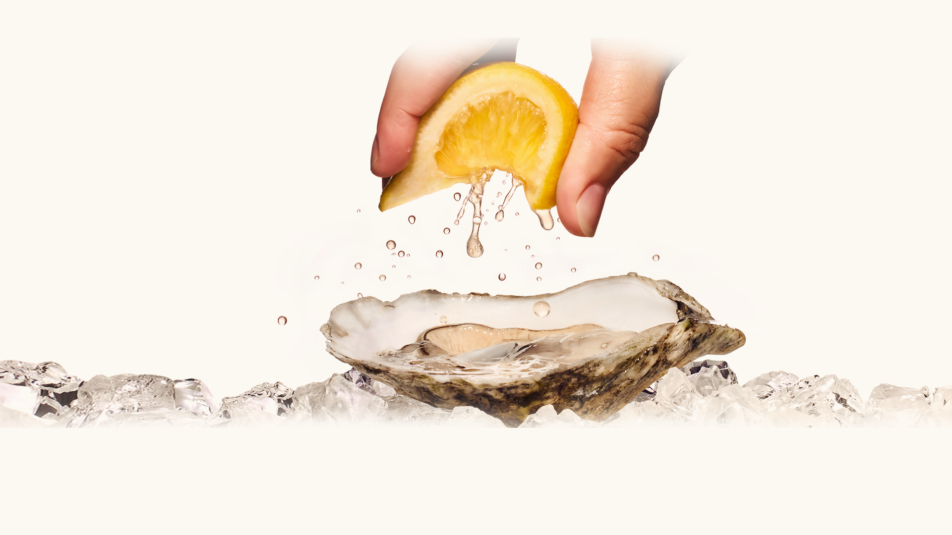 <i>Fresh</i> is our love language