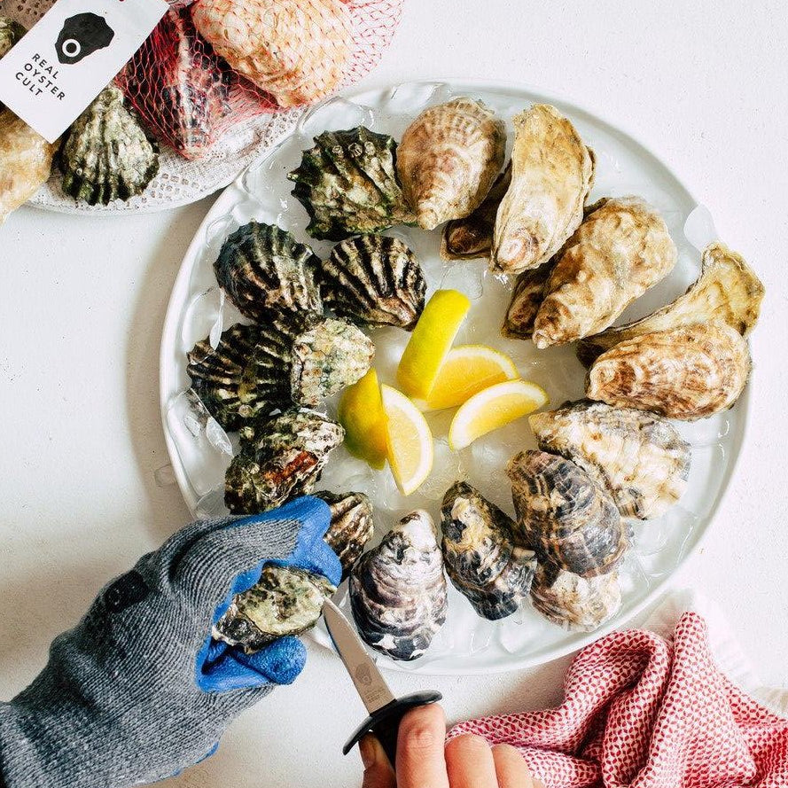 Oysters: A Beginner's Guide