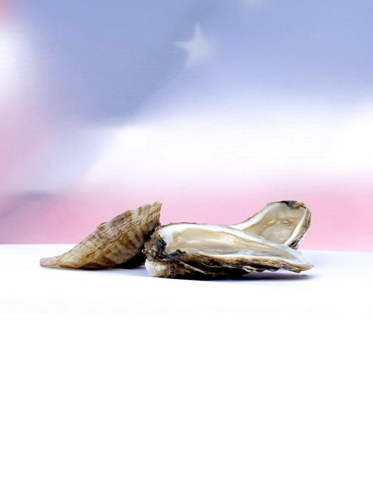 American Shuck' n Love