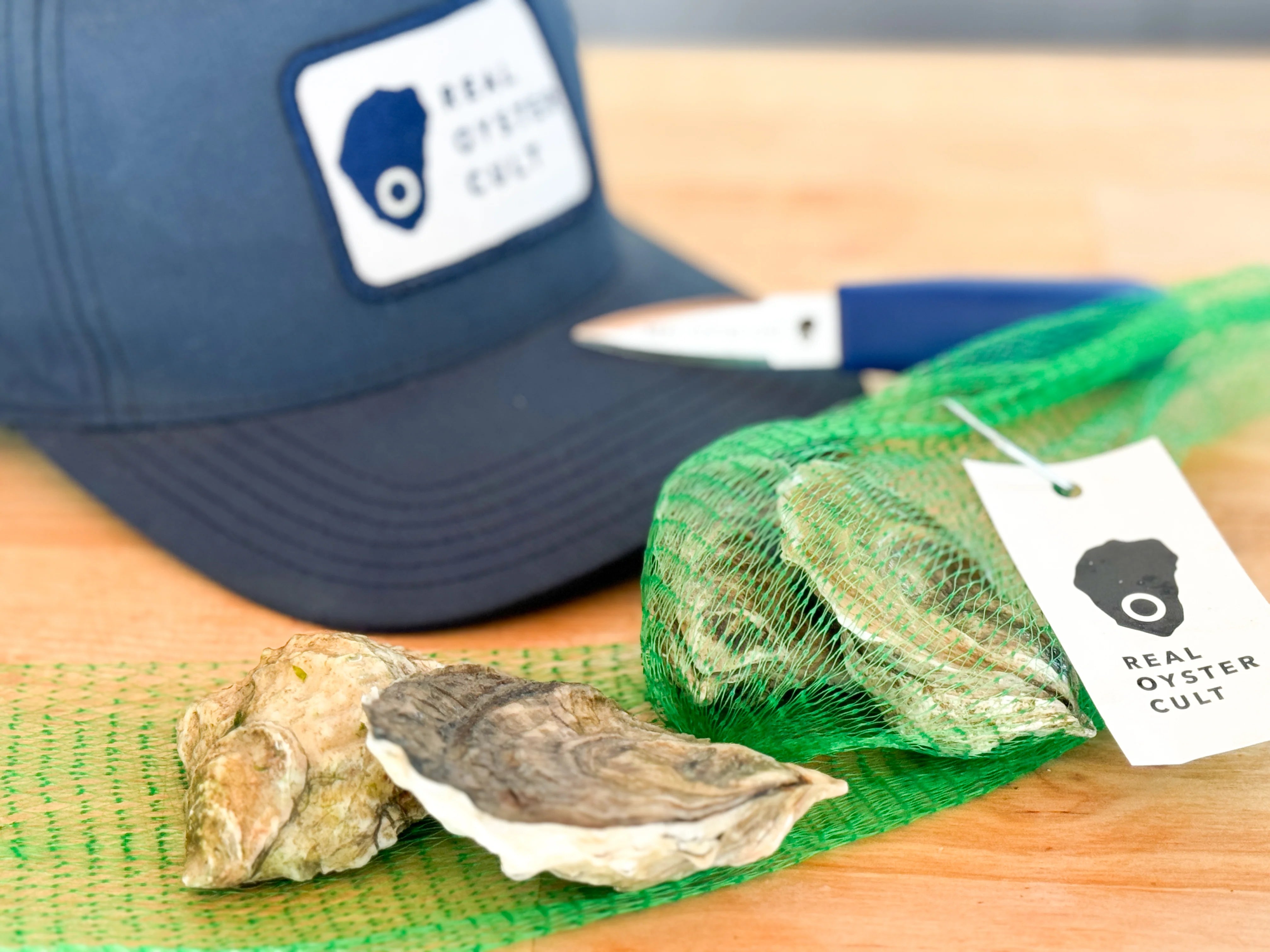 Dad Oysters