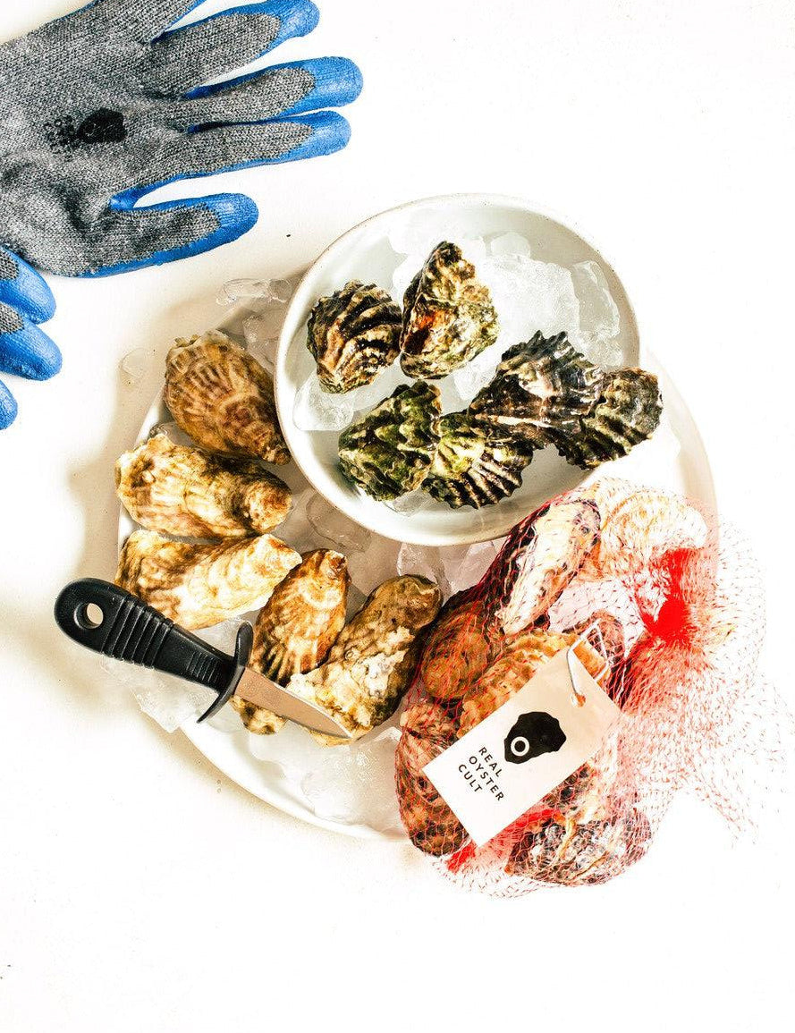 Essential Oyster Set