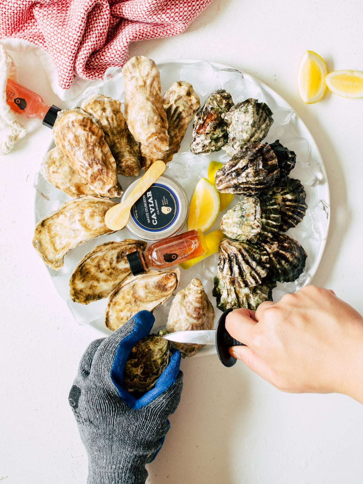Father's Day Oyster Kit