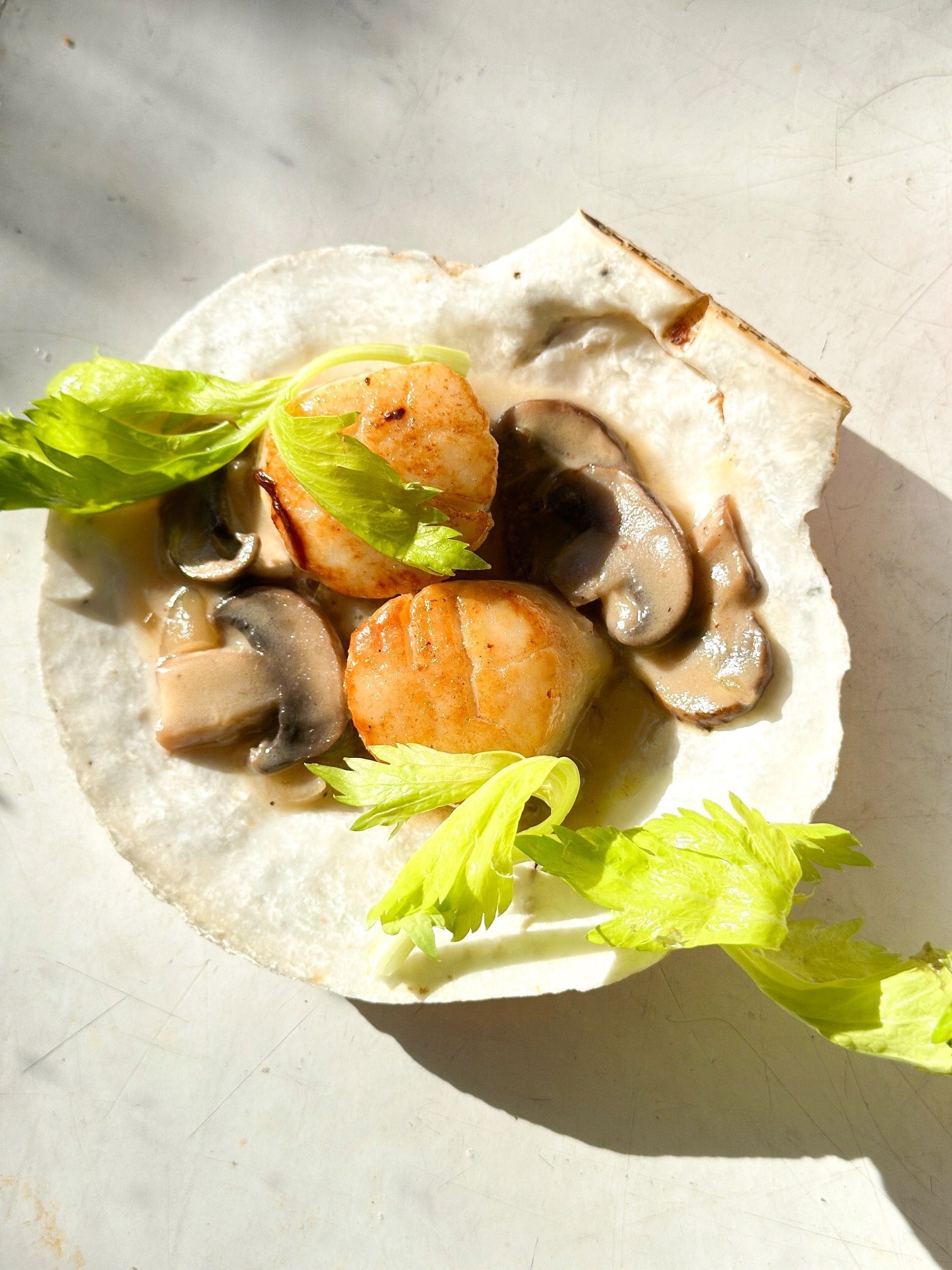 Maine Dayboat Scallops