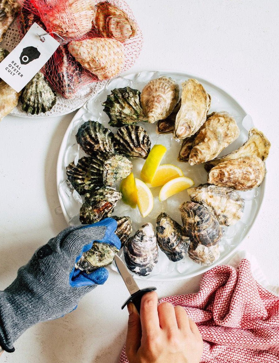 Membership Quartet (4 varieties)