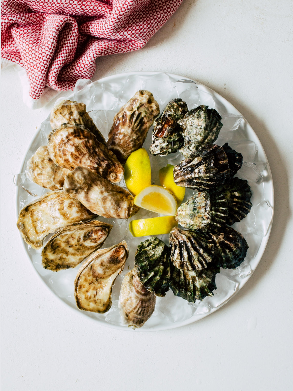 Membership Single 10 count