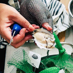 Mother's Day Oyster Kit