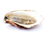 Orient Point Pearl