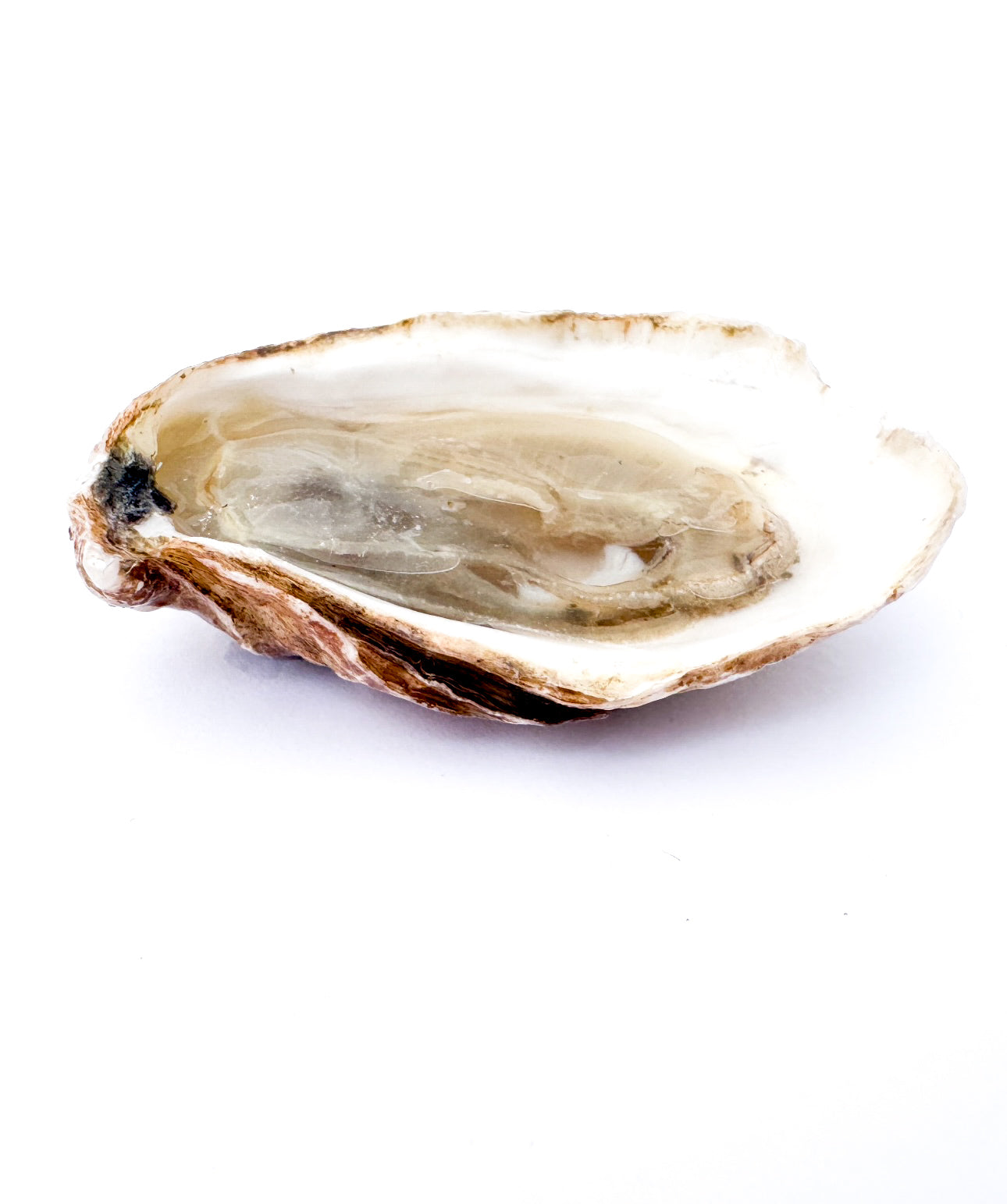 Orient Point Pearl