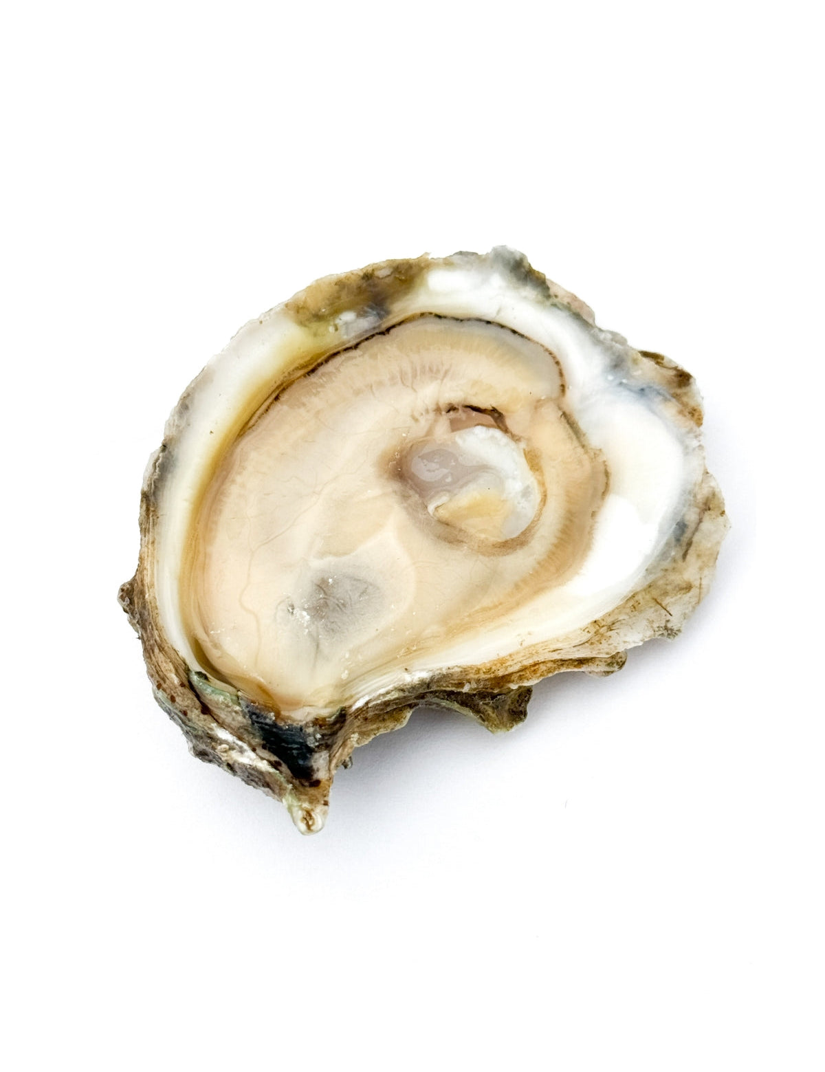 ROC's Home Grown – Real Oyster Cult