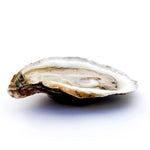 Sea Kist