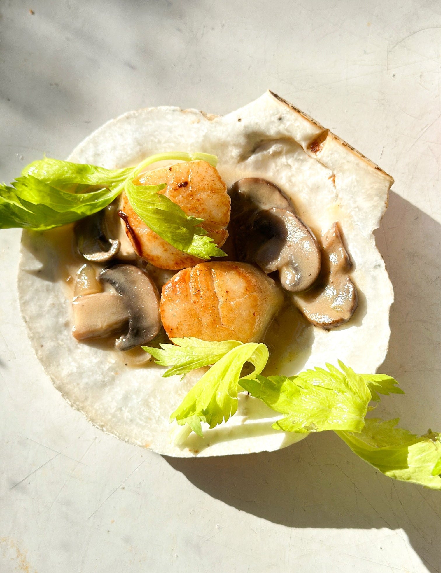 Sea Scallops (bone-dry)