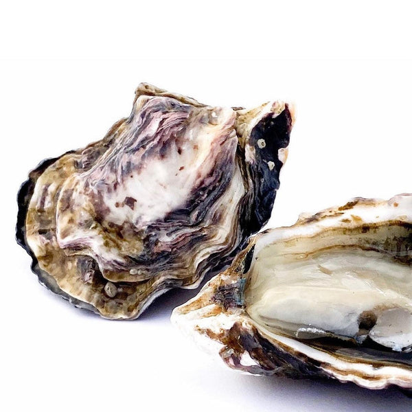 Real Oyster Cult Real Oyster Cult