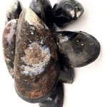 PEI Mussels