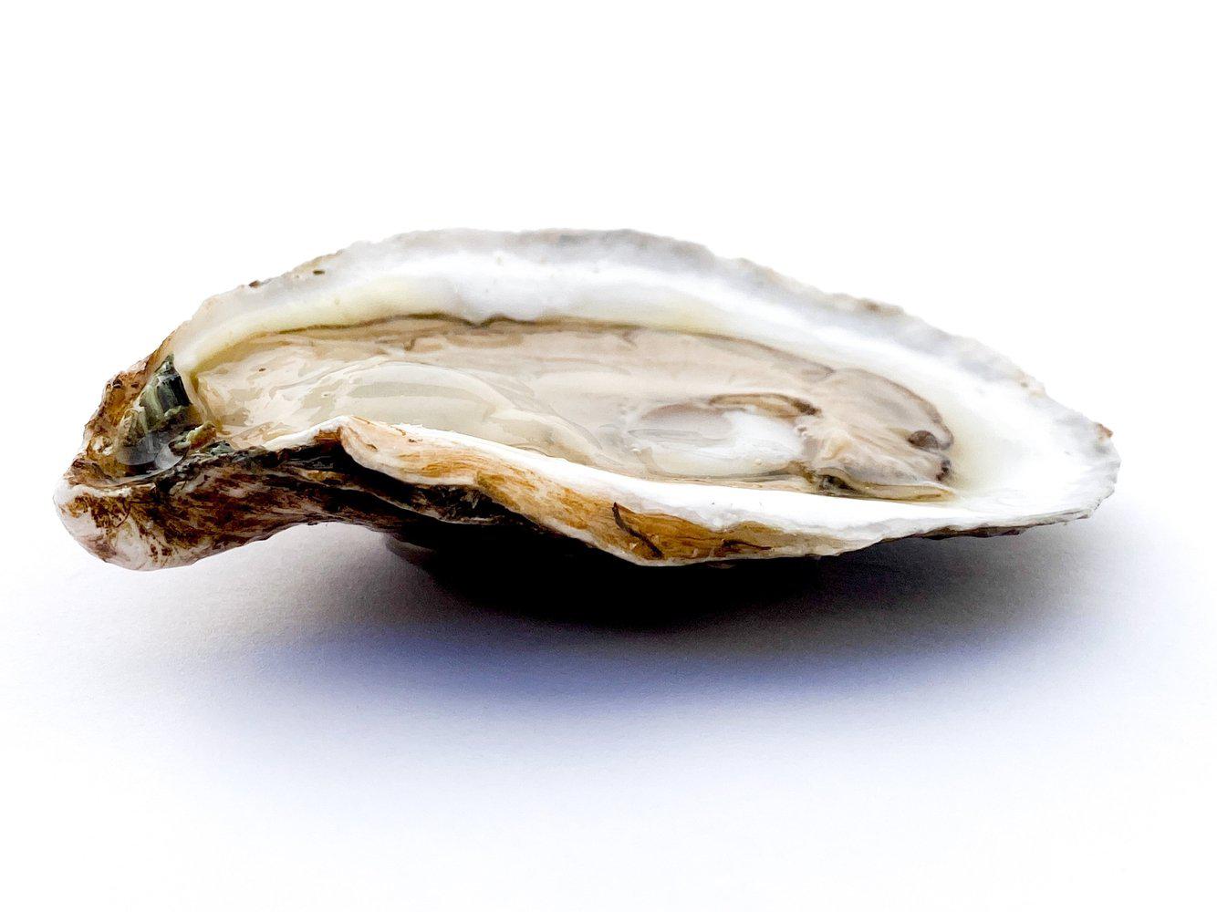 Sea Kist