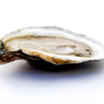 Sea Kist