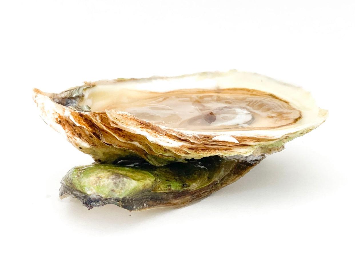 Wild Malpeque